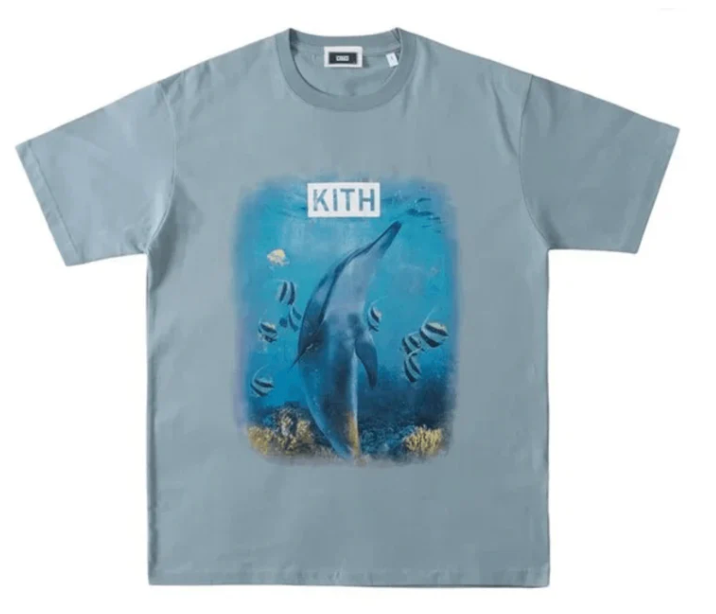 Kith Underwater Dolphin Vintage T-shirt Blue